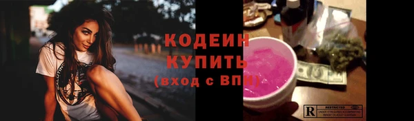 ПСИЛОЦИБИНОВЫЕ ГРИБЫ Арсеньев