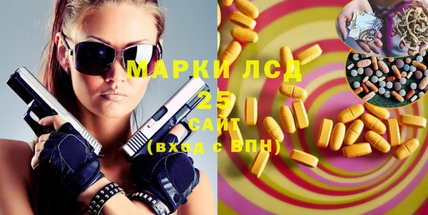 индика Балабаново