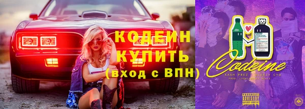 ПСИЛОЦИБИНОВЫЕ ГРИБЫ Арсеньев