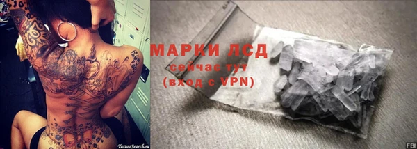 apvp Аркадак