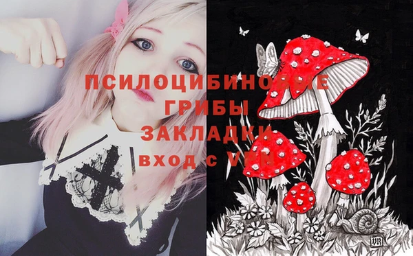 apvp Аркадак