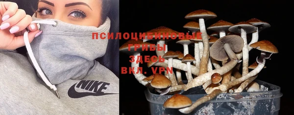 МДПВ Армянск